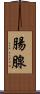 腸腺 Scroll