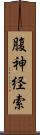 腹神経索 Scroll