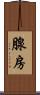 腺房 Scroll