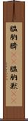 膃肭臍(rK) Scroll
