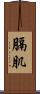 膈肌 Scroll