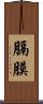 膈膜 Scroll