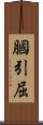 膕 Scroll