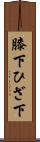 膝下 Scroll