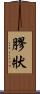膠狀 Scroll