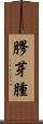 膠芽腫 Scroll