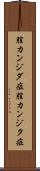 膣カンジダ症 Scroll