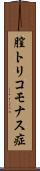 膣トリコモナス症 Scroll