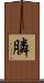 膦 Scroll