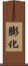 膨化 Scroll