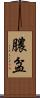 膿盆 Scroll