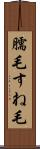 臑毛 Scroll