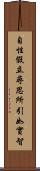 自性假立尋思所引如實智 Scroll