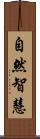 自然智慧 Scroll