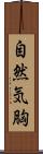 自然気胸 Scroll