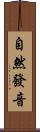 自然發音 Scroll
