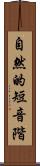 自然的短音階 Scroll