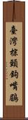 臺灣棕頸鉤嘴鶥 Scroll