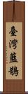 臺灣藍鵲 Scroll
