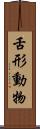 舌形動物 Scroll