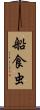 船食虫 Scroll