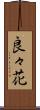 良々花 Scroll