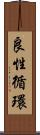 良性循環 Scroll