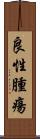 良性腫瘍 Scroll