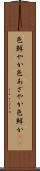 色鮮やか Scroll