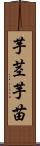芋茎 Scroll