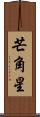 芒角星 Scroll