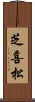 芝喜松 Scroll
