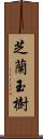 芝蘭玉樹 Scroll