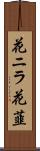 花ニラ Scroll