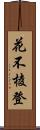 花不棱登 Scroll