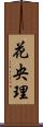 花央理 Scroll