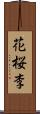 花桜李 Scroll