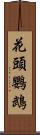 花頭鸚鵡 Scroll