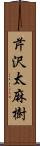 芹沢太麻樹 Scroll