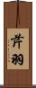 芹羽 Scroll