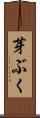 芽ぶく Scroll