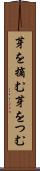 芽を摘む Scroll