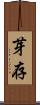 芽存 Scroll