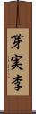 芽実李 Scroll