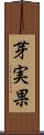 芽実果 Scroll