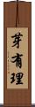芽有理 Scroll