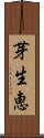 芽生恵 Scroll