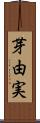 芽由実 Scroll