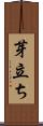 芽立ち Scroll