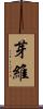 芽維 Scroll